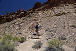 photo thumbnail #12