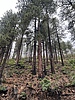 photo thumbnail #14