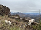 photo thumbnail #9