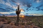 photo thumbnail #9