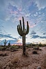 photo thumbnail #13