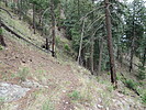 photo thumbnail #7