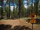 photo thumbnail #8