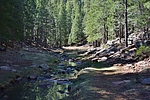 photo thumbnail #9