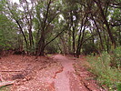 photo thumbnail #6