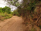 photo thumbnail #7