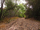 photo thumbnail #10