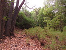 photo thumbnail #11