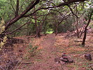 photo thumbnail #14