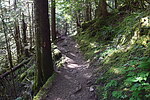 photo thumbnail #6