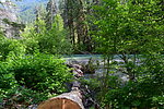 photo thumbnail #9