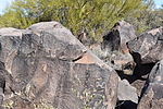 photo thumbnail #7