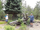 photo thumbnail #13