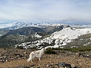 photo thumbnail #4