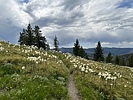 photo thumbnail #10