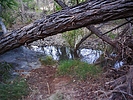 photo thumbnail #5