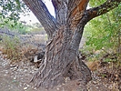 photo thumbnail #11