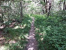 photo thumbnail #14