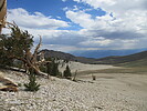 photo thumbnail #12