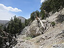 photo thumbnail #1
