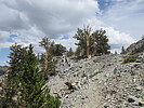 photo thumbnail #9