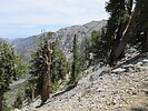 photo thumbnail #10