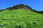 photo thumbnail #9