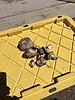 photo thumbnail #4