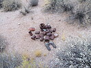 photo thumbnail #3