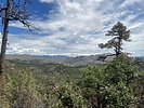 photo thumbnail #12
