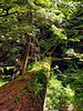 photo thumbnail #9