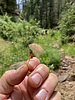 photo thumbnail #8