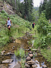 photo thumbnail #4