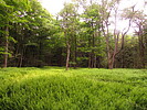 photo thumbnail #13
