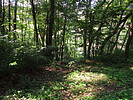 photo thumbnail #7
