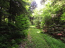 photo thumbnail #10