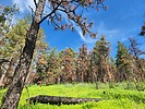photo thumbnail #3