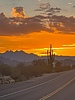 photo thumbnail #4