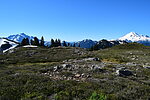 photo thumbnail #10