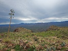 photo thumbnail #8