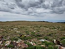 photo thumbnail #11