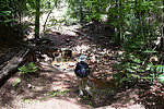 photo thumbnail #5