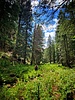 photo thumbnail #10