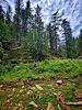 photo thumbnail #4