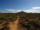photo thumbnail #8