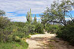 photo thumbnail #14