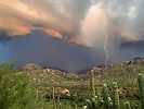 photo thumbnail #4