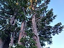 photo thumbnail #1