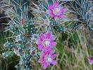 photo thumbnail #10