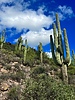photo thumbnail #7